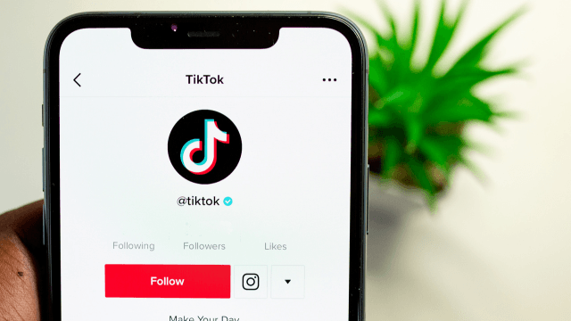 インフルエンサーマーケティング事例6選 成功のポイントを解説 tictiok