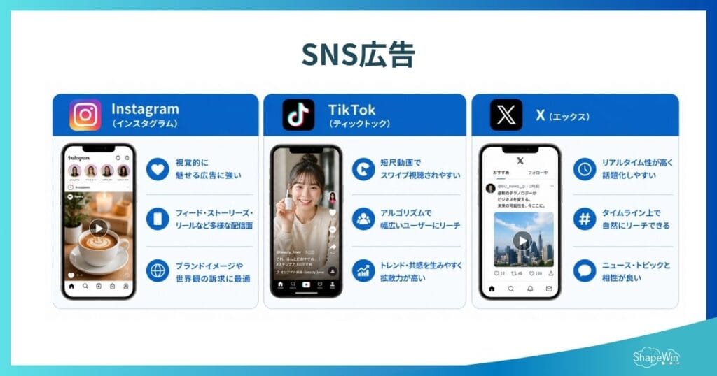 動画広告の事例まとめ6選|成果が出たSNS・YouTube広告の成功ポイントを解説 SNS広告_インフォグラフィック