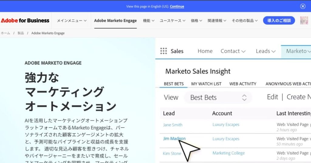 AIマーケティングツール　Marketo_インフォグラフィック